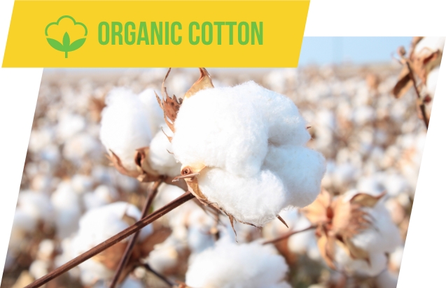 ORGANIC COTTON